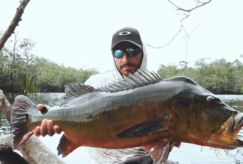Alma de Gigante