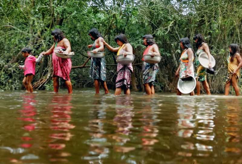 Amazônia: Novas Histórias