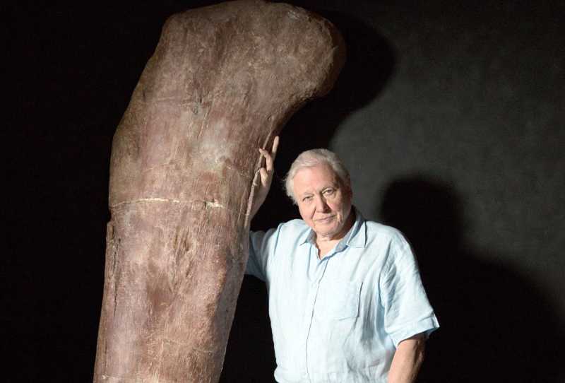 Attenborough e o Dinossauro Gigante