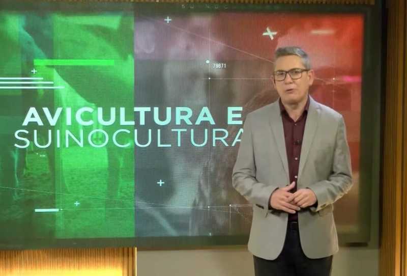 Avicultura & Suinocultura