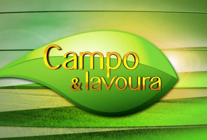 Campo e Lavoura