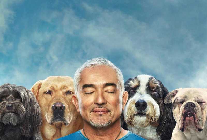 Cesar Millan - Melhores Humanos, Melhores Cachorros