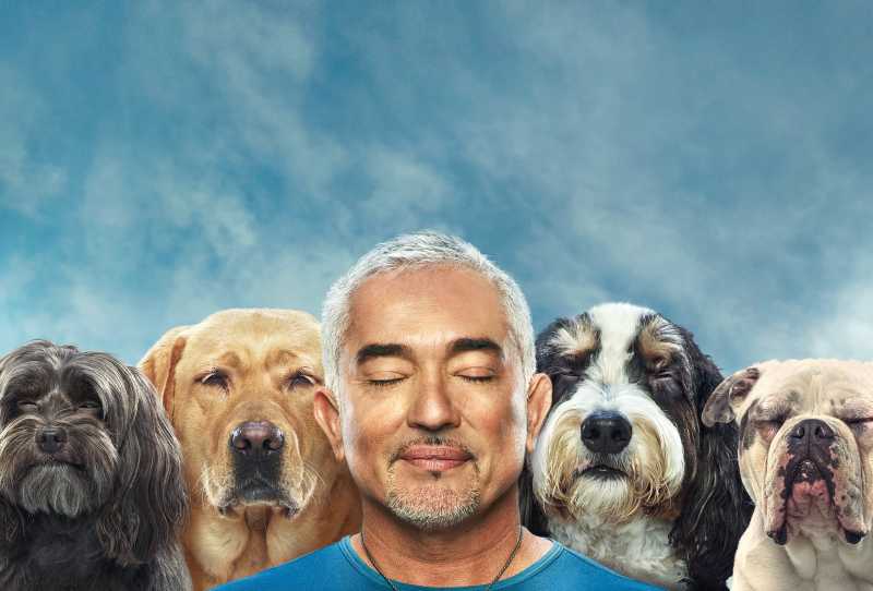 Cesar Millan - Melhores Humanos, Melhores Cachorros