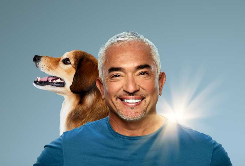 Cesar Millan - Melhores Humanos, Melhores Cachorros