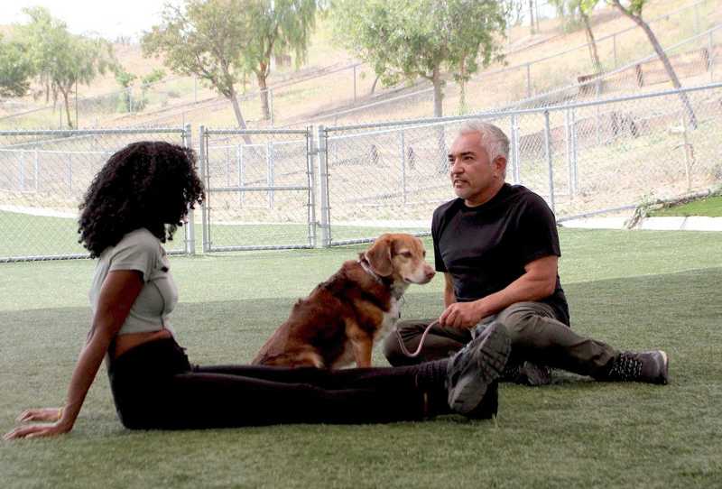 Cesar Millan - Melhores Humanos, Melhores Cachorros
