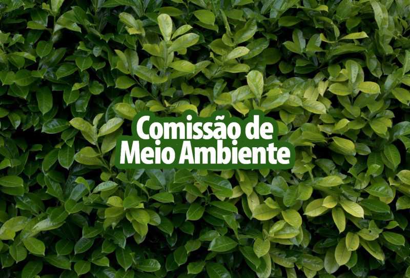 Comissão de Meio Ambiente