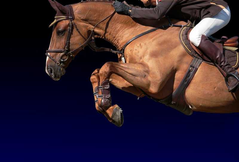 Hipismo