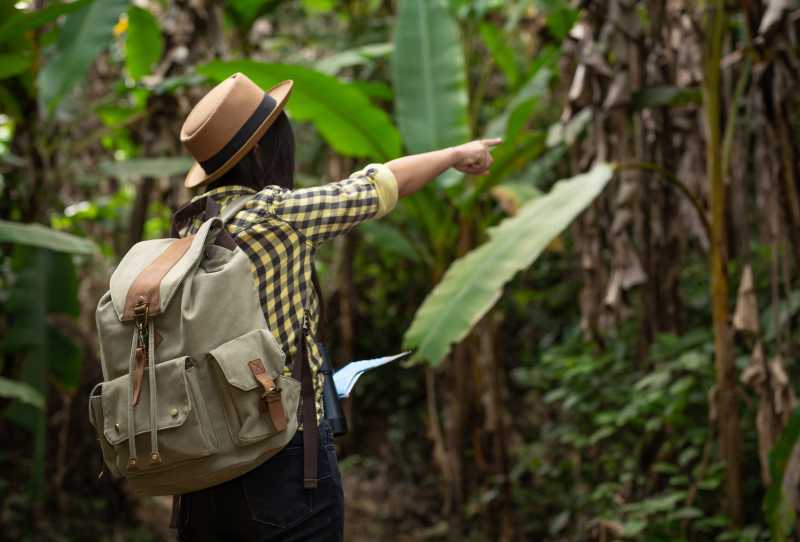 Expedição Amazônia