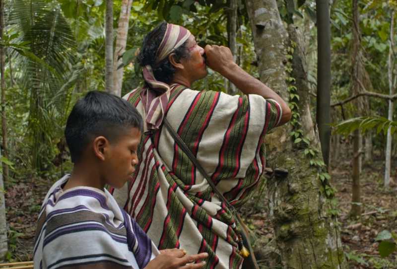 Floresta, Onde a Terra Respira