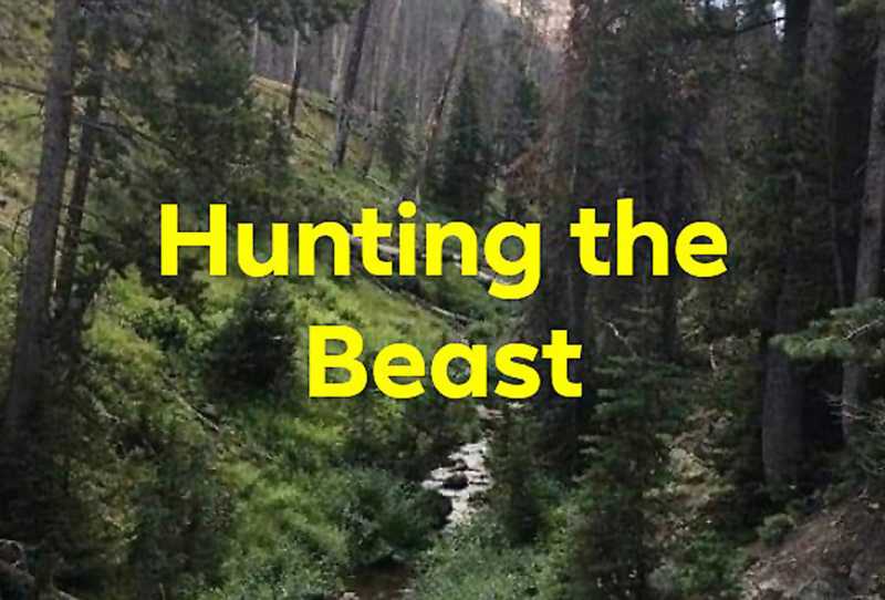 Hunting the Beast