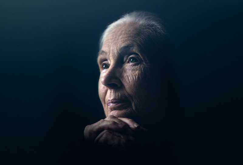 Jane Goodall - A Esperança