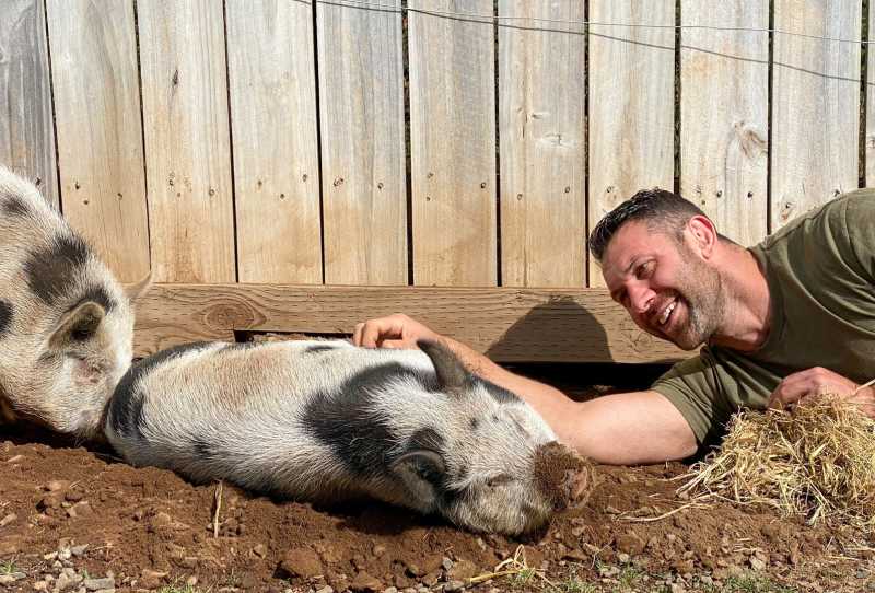 Minha Vida Animal