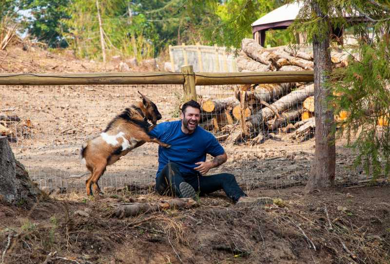 Minha Vida Animal