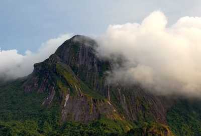 Programa No Topo da Amazônia - Em Busca de Novas Espécies