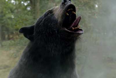 O Urso do Pó Branco (2023) - Pôsteres — The Movie Database (TMDB)