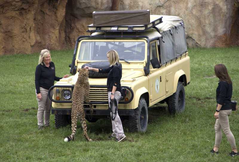 Os Segredos do Zoológico