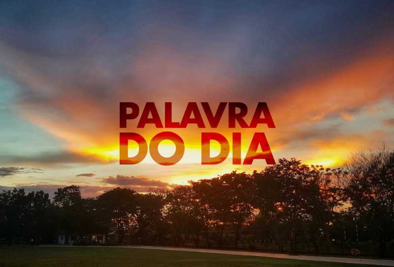 Palavra do Dia