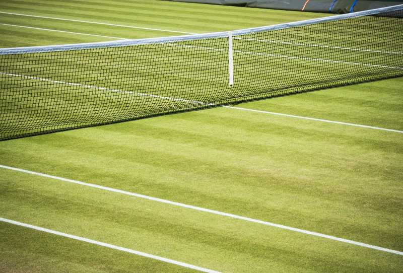 Pelas Quadras de Wimbledon 2024