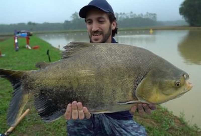 Pesqueiros do Brasil