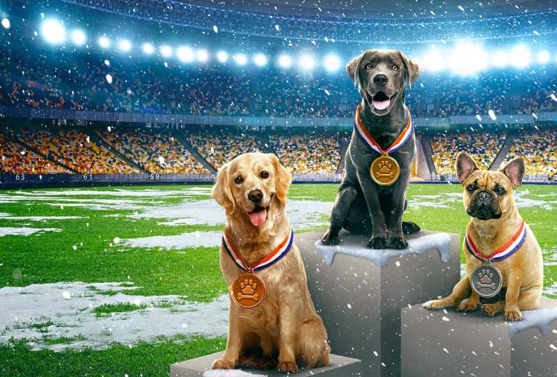 Puppy Bowl Apresenta: Cãolimpíadas de Inverno