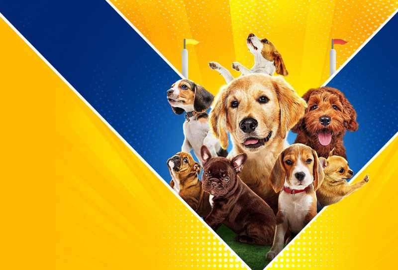 Puppy Bowl Presents: Puppy Mania