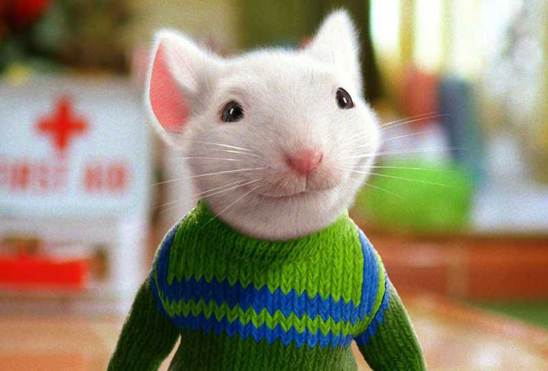 Stuart Little 2