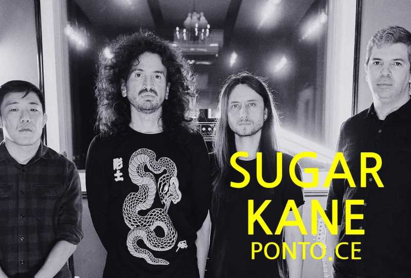 Sugar Kane - Ponto.CE