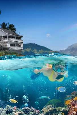 Vida no Paraíso - Havaí (Séries): Mais Próximo da Família em Oahu S13 ...