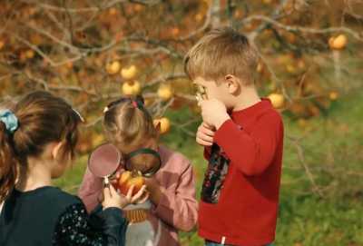 Programa Weme e a Natureza