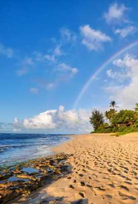 Nuestro hogar en Hawái (Series): Graduándose a la vida real en Oahu S13 ...