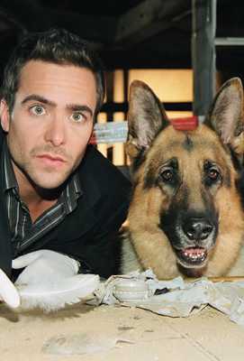 descargar serie completa comisario rex descargar serie completa comisario rex