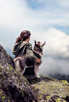 Valente Quintero (Película) | Programación de TV en México | mi.tv