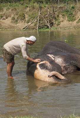 Wild Frank en India (Series): Snake Bite E02 | Programación de TV en  Paraguay 